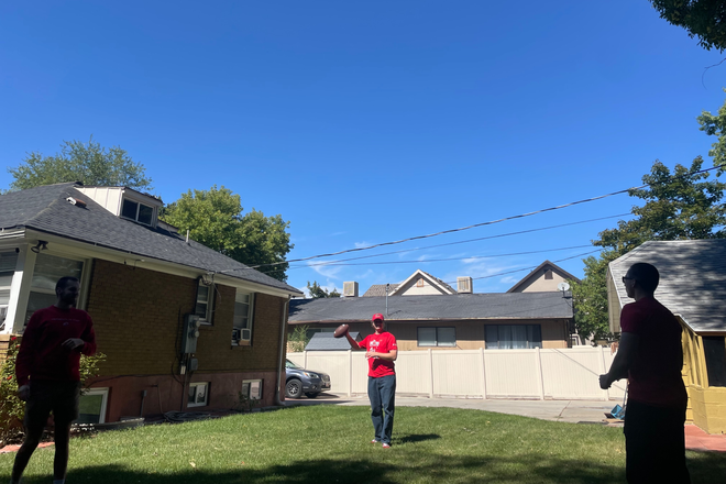 Backyard - Cute House