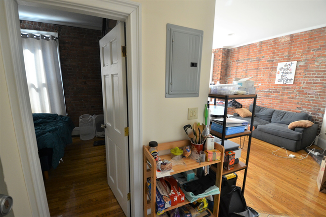 Livingroom - Front Facing One Bedroom in Back Bay View  of Boston Skylights  Sunny and Bright 9/1 Apartments