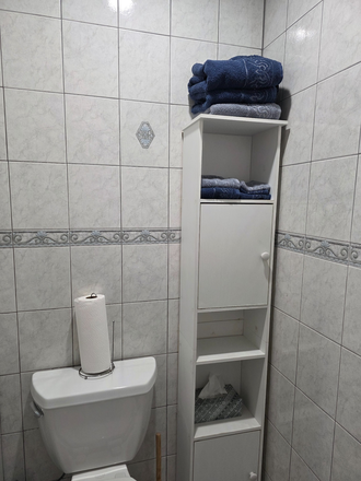 Bathroom - Walking distance from Hofstra. Price Negotiable House