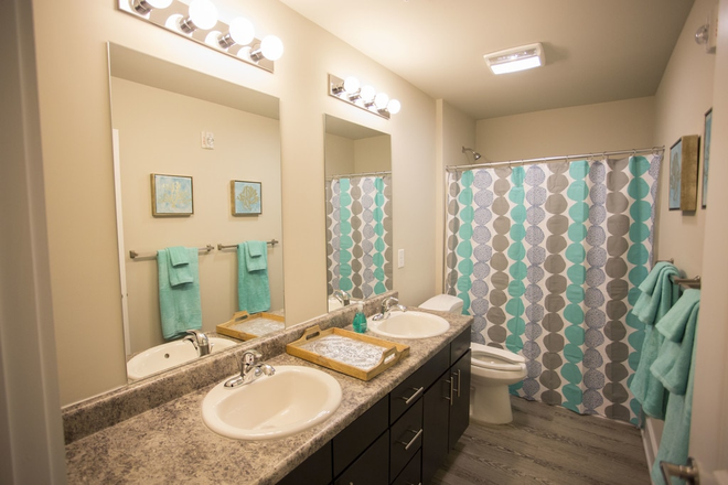 Bathroom Example - 4-Person flat on Mountain overlooking Campus Apartments
