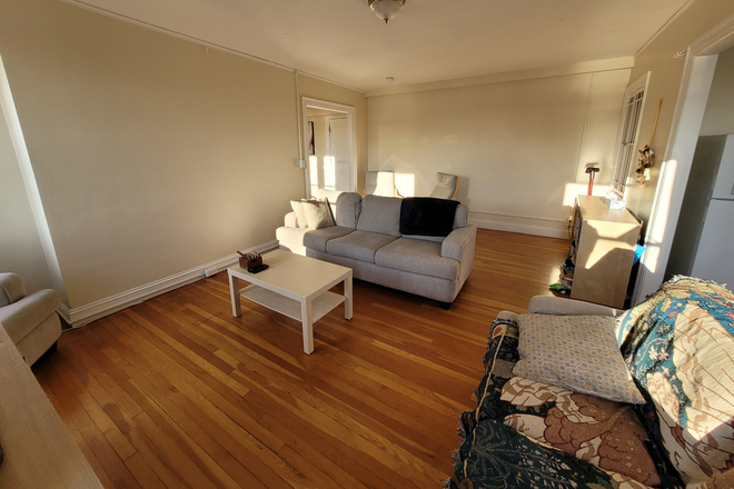 Living Room - Room in Sunny 2BR near Harvard Square - flexible move-in starting April 15, lease through July 31 Apartments