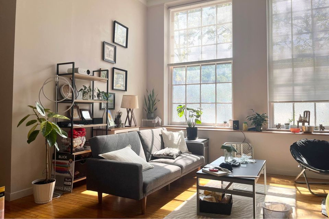 Living room - Private Room in a 2 Beds 1 Bath Apartment in Little Italy