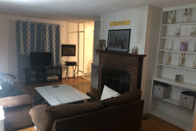 living room - Walk to campus, 4 Bedroom 2 Bath clean home, hardwood floors, washer/dryer, great yard