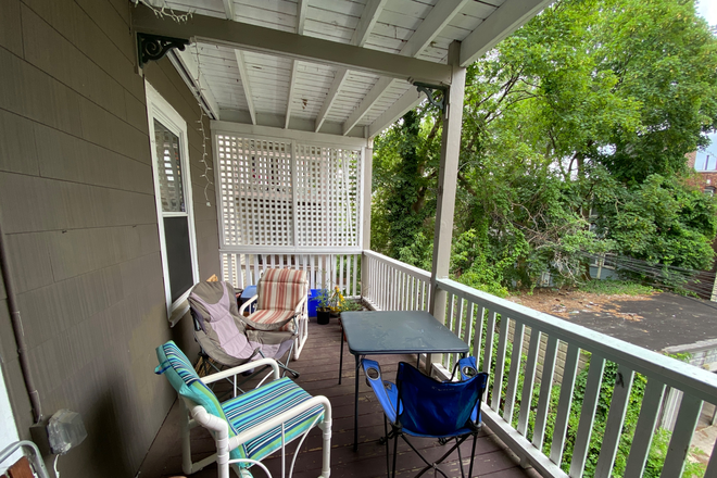 12 Oswald St - No Fee - 4 Bed 1 Bath - Sept 1 Apartments