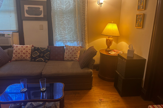 From entrance, showing sofa bed as sofa - Lovely Brookland Victorian, Private Room, Close to Metro, Bus, Bike Share House