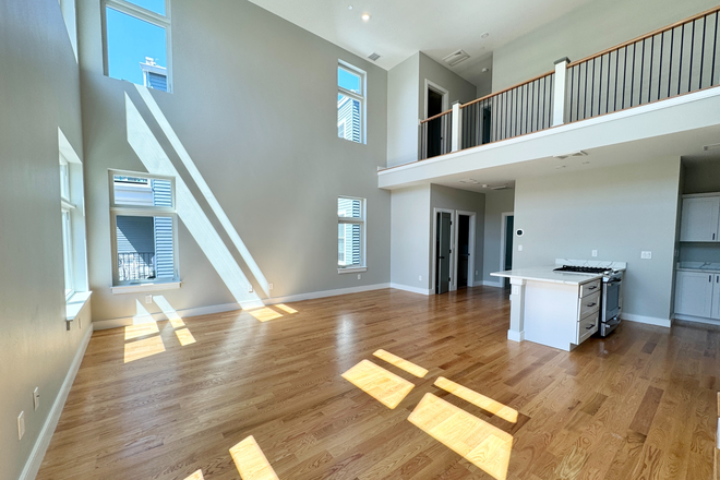 living - HUGE RENOVATED 4 BED/3 BATH WITH IN-UNIT LAUNDRY, NO BROKER FEE! 9/1/26! Apartments