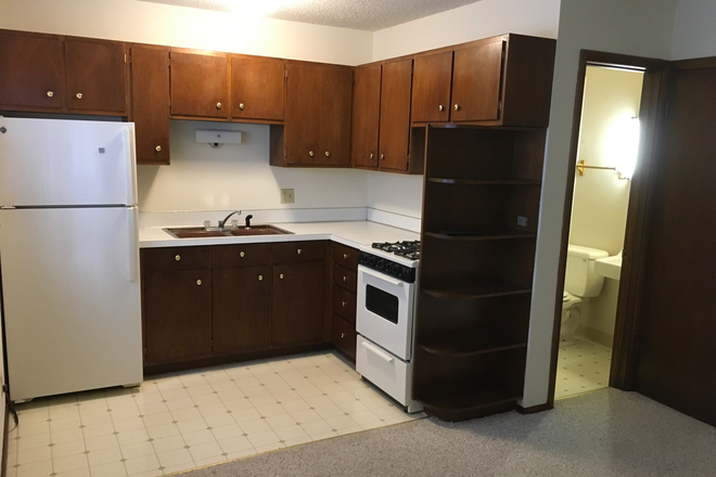 Living room and kitchen - Nice quiet close in Study Apartment for Grad Student in residential area a few blocks from campus.