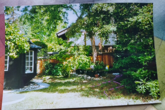 Garden view - cottage on left - Charming Cottage in Rockridge Backyard Rental