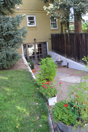 Private entrance, outside street view - Walk to Campus. Large garden level, 1-bedroom, furnished apartment with open plan kitchen living.
