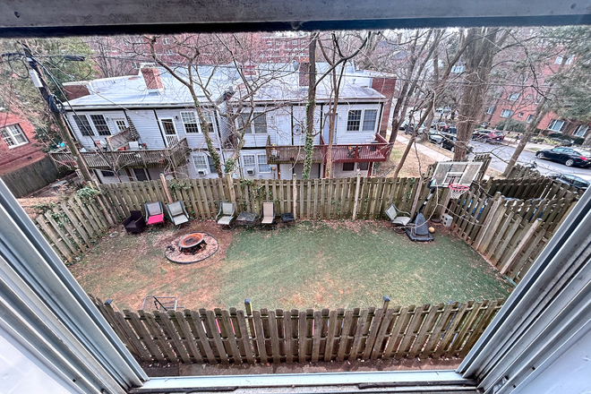Backyard - Two Bedroom + Den Apt in Glover Park - Hardwood Floors - 50 feet to Bus Line
