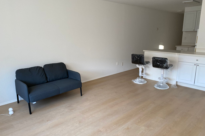 Living Room - 3 Minute Walking Distance to USF Main Campus Lone Mountain 2-Bedroom Apt w 1 Bath for 2  USF Student