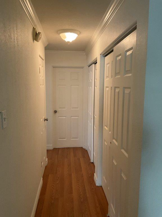 Hallway - Spacious 1 bedroom/1 bathroom. Great Location! Close to DU, restaurants and shops Condo