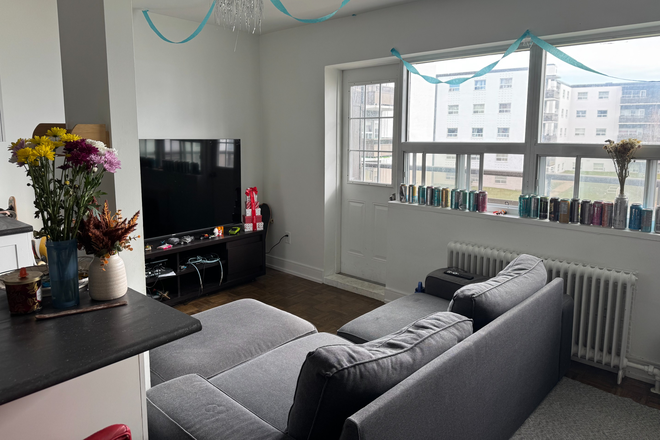 Living room - 2 Bed 1 Bath within 10 minutes of UTSC, Centennial, and STC