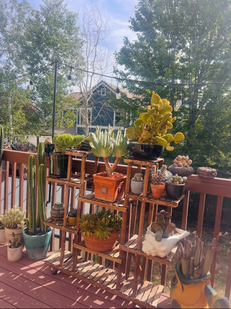 Backyard Deck - 5 Bed 3.5 bath in Erie House