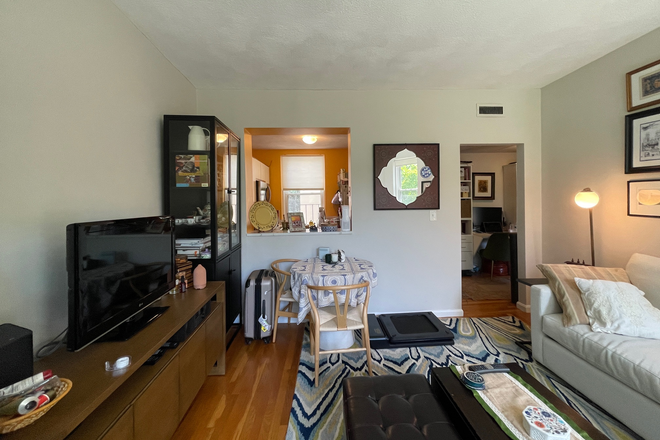 Living Room - Beautiful Unfurnished Apartment on Boston College Green Line for Rent