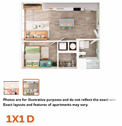 Floor plan - Hub On Campus Tampa Apartments