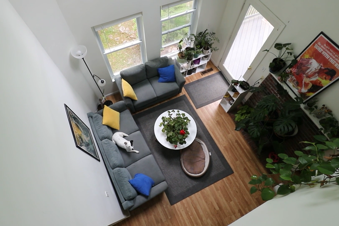 Living room - Old Amherst Apartments - Amherst/Belchertown line - on bus line