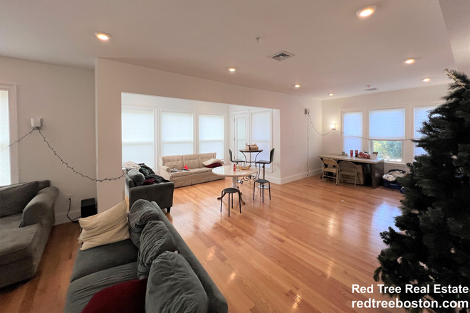 ... - NEWLY RENOVATED 8 BEDS/ 8 BATHS Apartments