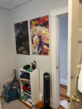 Bedroom is a good size comfortable with a deep closet - Apartment Close to Campus