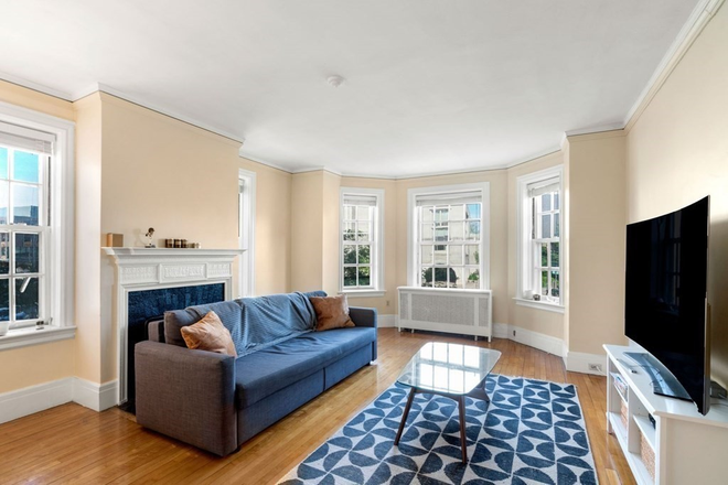 living room - Sun Drenched 2 Bed / 1 Bath condo next to campus! Heat&Hot Water Included!! Roof Deck!! Avail 8/1/25