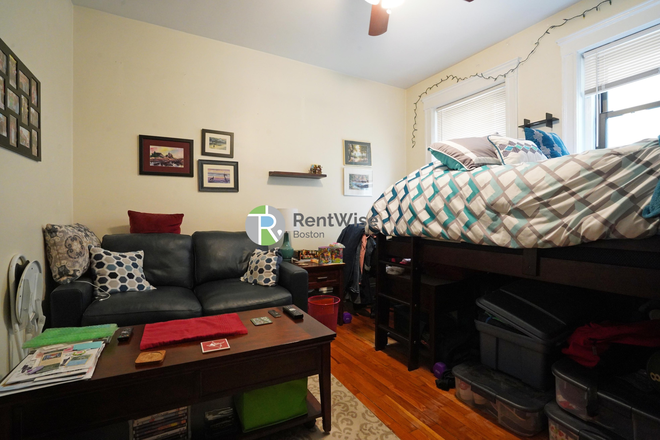 1 - JUNE 2026-Great Studio in Brighton! H/HW inc. Easy MBTA, Cat ok-NO FEE Apartments