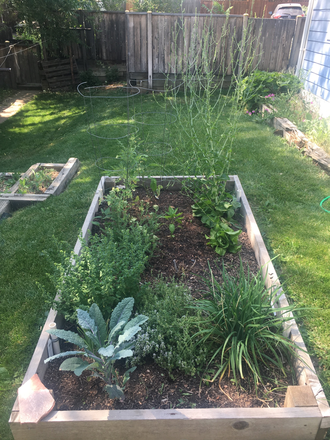 Beds for gardening - Charming 2 bedroom cottage on Alpine Avenue Duplex