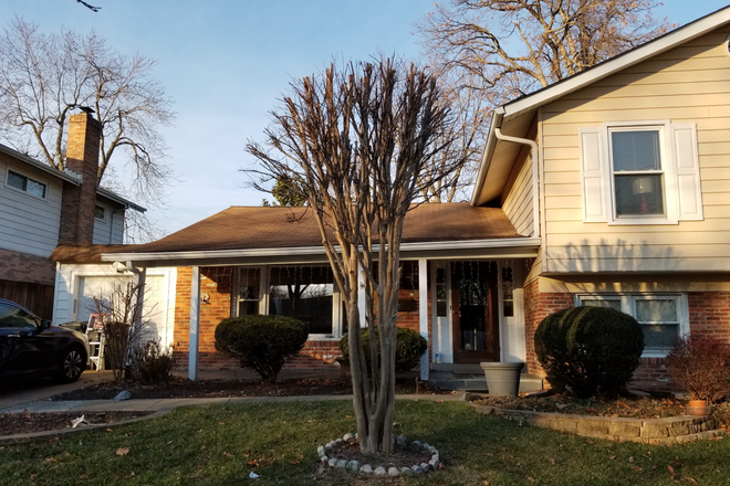 Outside - 3 Rms Available in Quiet 4bd/3ba Furnished home (2Lg $1.5k, 1Sm $1k)