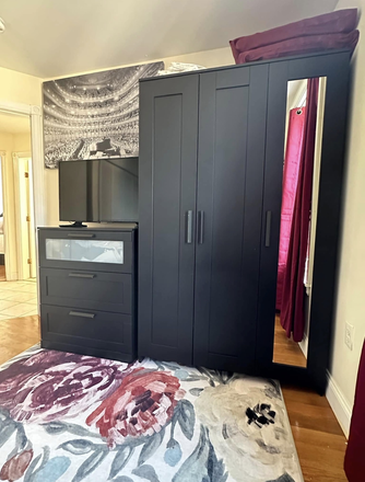 Bedroom/Living area combo with Murphy bed away - Fenway Summer Sublet – Private Furnished Bedroom in 3BR Apartment – Walkable to the listed schools
