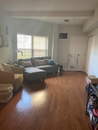 living room - Furnished 1BR apt-Spring St-Princeton