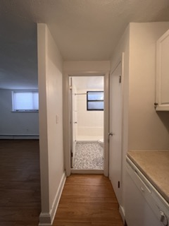 1 - Brookline studio unit with D/W