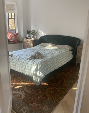 Your bedroom and Punch, the dog. - Whole house from Dec 27 - Jan 5 - Pet sitting required!