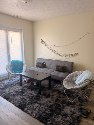 Living room with access to balcony - Apartment on Fowler close to campus & Chauncey
