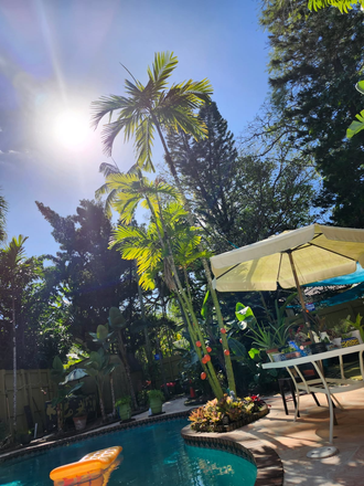 Front Patio - Please text first, ROXANA 718.689.3867