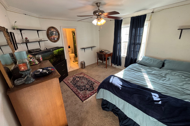 Photo - Spacious House walking distance from KSU