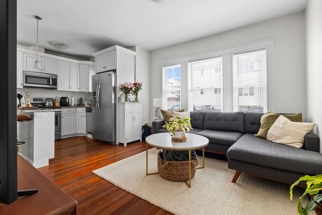 Living Room - Large Bedroom, Close to Green-Line and Alumni Field Apartments