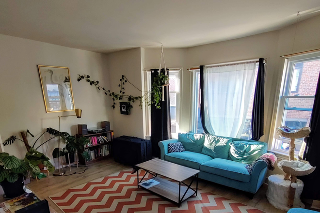 Living room - Room in 3BR apt for PU affiliate-Spring St-Princeton