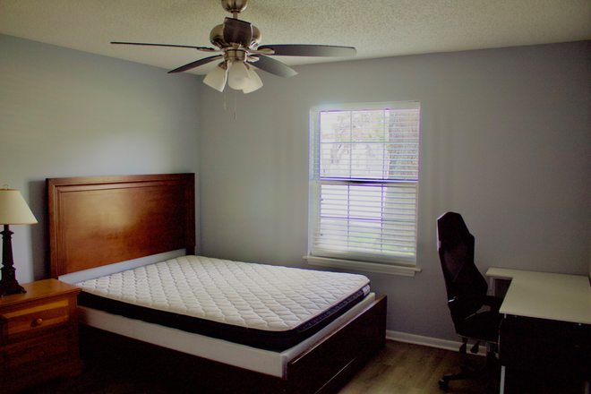 Bedroom - 1 room shared bathroom . Available for move in today ! ~ 1 mile from USF