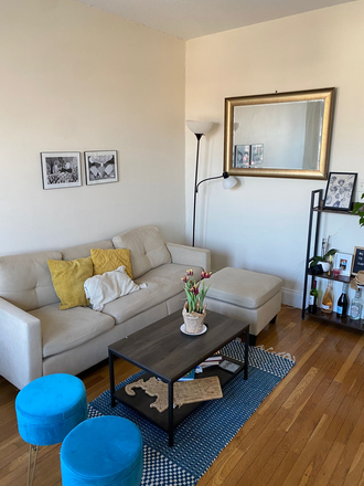 Living room - 1bedroom apartment sublet (03/01-03/31) w/ option to renew for a year (no broker fee)