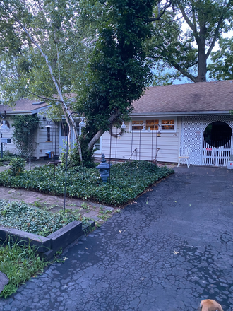 Yard and parking - Furnished room in shared home-Springdale Rd-South Brunswick