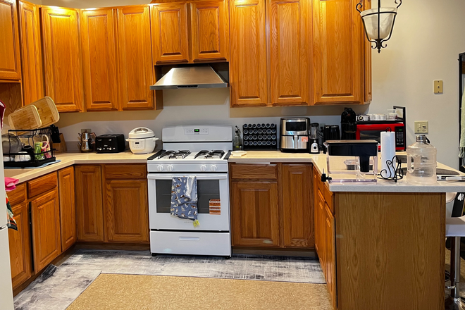 Kitchen - Apartment close to UIC