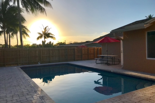 Pool in backyard - FAU Walkable! BIG furnished room in house with POOL