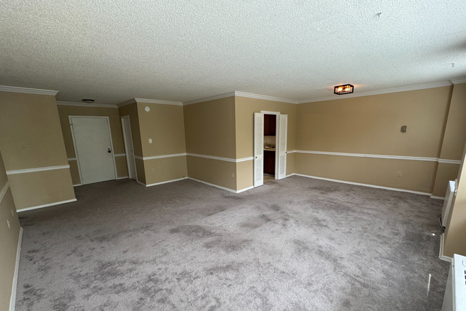 Living/Dining Room 2 - Quiet 900 sq ft 1BR Roland Park condo elevator building w/ ample parking