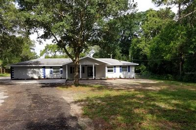 House front - Prime Student Housing:  Remodeled House - Just steps from USF Campus - Join Fellow Student-Athletes!