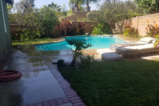 Swimming pool area - 1 mile from campus, swimming pool, lots of parking, remodeled kitchen, new a