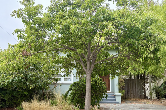 Front of house - Great Neighborhood, Quiet Household