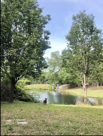 Back yard overlooking a pond - Looking for 30s female roommate for James Island home! 10 mins to MUSC and folly beach!