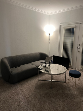 Livingroom - Fully Furnished 1B1B from May to August (8min from Rice Campus) Apartments