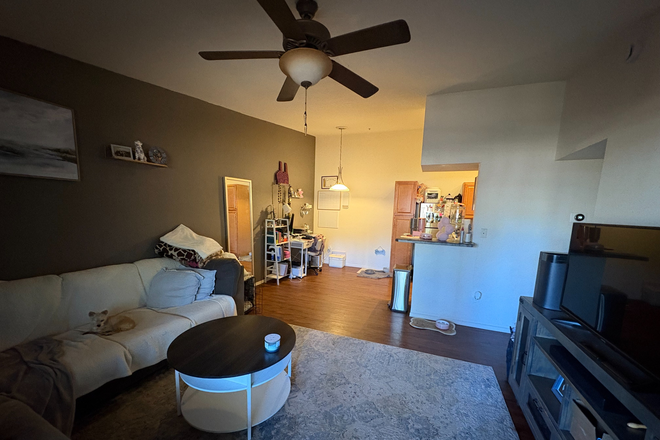 Living/ Dining room - 1bd 1bath Private spacious condo with washer and dryer