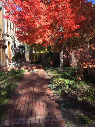 Pathway in Fall - Country Club Townhome, two miles from DU, in Historic Landmark District