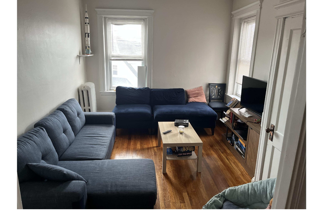 Living room - Summer sublet/short-term lease for a 2-bed/1-bath apt in Allston with flexible start and end date